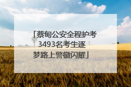 蔡甸公安全程护考 3493名考生逐梦路上警徽闪耀
