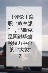 评论丨离职“效率部”，马斯克是闯进华盛顿权力中心的“大象”？