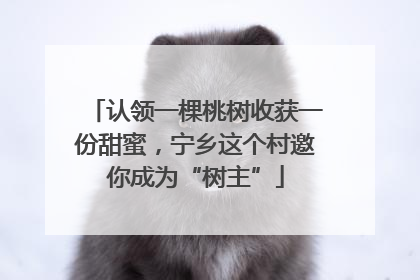 认领一棵桃树收获一份甜蜜，宁乡这个村邀你成为“树主”