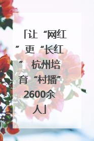 让“网红”更“长红” 杭州培育“村播”2600余人