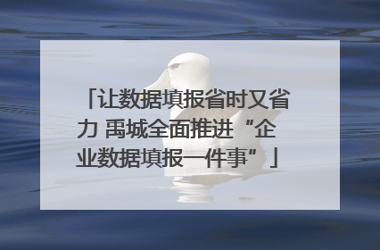 让数据填报省时又省力 禹城全面推进“企业数据填报一件事”