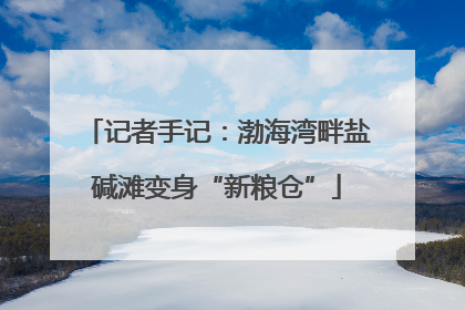 记者手记：渤海湾畔盐碱滩变身“新粮仓”