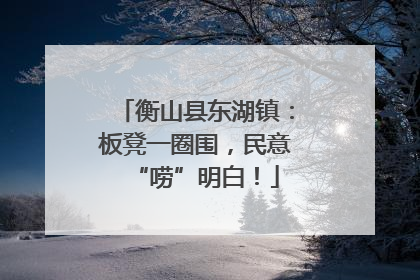 衡山县东湖镇：板凳一圈围，民意“唠”明白！