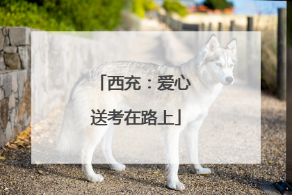 西充：爱心送考在路上