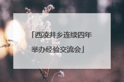 西凌井乡连续四年举办经验交流会