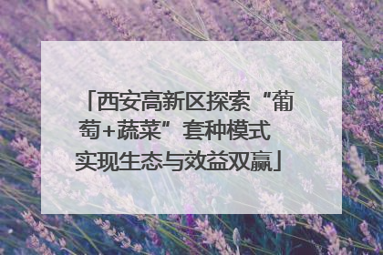 西安高新区探索“葡萄+蔬菜”套种模式 实现生态与效益双赢