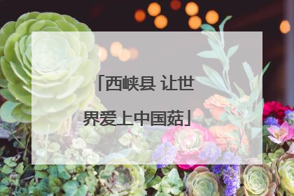 西峡县 让世界爱上中国菇