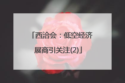 西洽会：低空经济展商引关注(2)