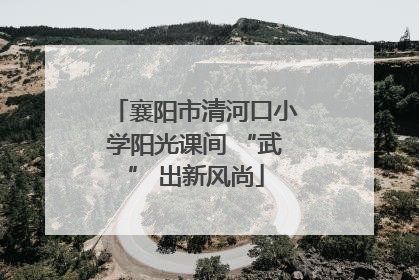 襄阳市清河口小学阳光课间 “武” 出新风尚