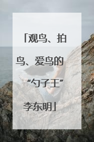 观鸟、拍鸟、爱鸟的“勺子王”李东明