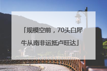 规模空前，70头白犀牛从南非运抵卢旺达