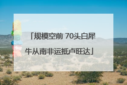 规模空前 70头白犀牛从南非运抵卢旺达