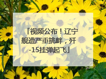视频公布！辽宁舰遭严重挑衅，歼-15挂弹起飞