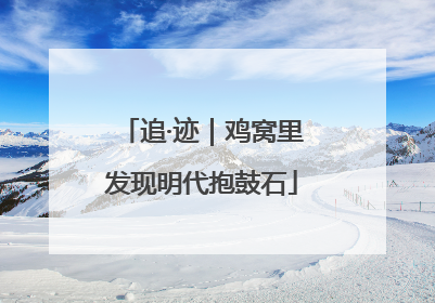 追·迹｜鸡窝里发现明代抱鼓石