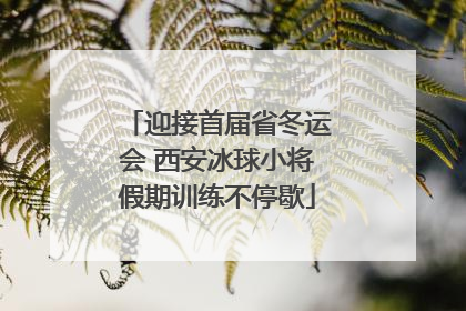 迎接首届省冬运会 西安冰球小将假期训练不停歇