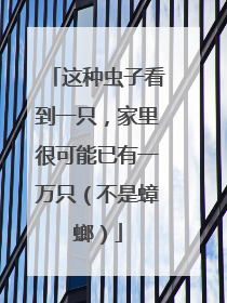 这种虫子看到一只，家里很可能已有一万只（不是蟑螂）