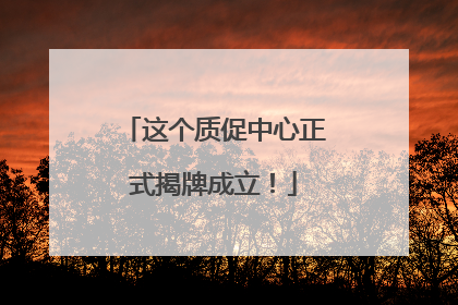 这个质促中心正式揭牌成立！