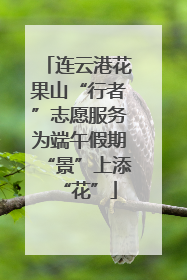 连云港花果山“行者”志愿服务为端午假期“景”上添“花”