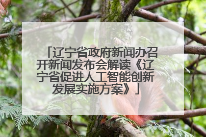 辽宁省政府新闻办召开新闻发布会解读《辽宁省促进人工智能创新发展实施方案》