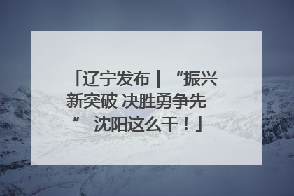 辽宁发布｜“振兴新突破 决胜勇争先” 沈阳这么干！