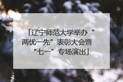 辽宁师范大学举办“两优一先”表彰大会暨“七一”专场演出