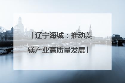 辽宁海城：推动菱镁产业高质量发展