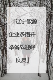 辽宁能源企业多措并举备战迎峰度夏