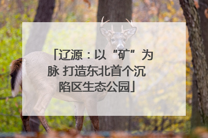 辽源：以“矿”为脉 打造东北首个沉陷区生态公园