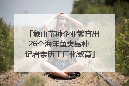 象山苗种企业繁育出26个海洋鱼类品种 记者亲历工厂化繁育