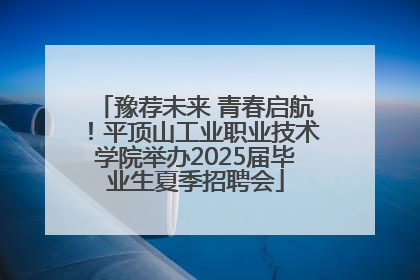 豫荐未来 青春启航！平顶山工业职业技术学院举办2025届毕业生夏季招聘会