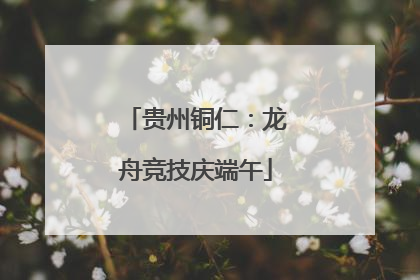 贵州铜仁：龙舟竞技庆端午
