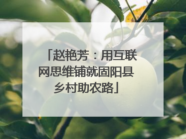 赵艳芳：用互联网思维铺就固阳县乡村助农路