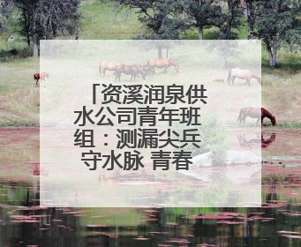 资溪润泉供水公司青年班组：测漏尖兵守水脉 青春建功显担当