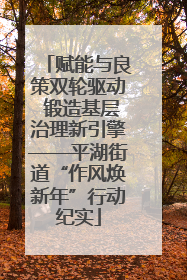 赋能与良策双轮驱动 锻造基层治理新引擎——平湖街道“作风焕新年”行动纪实