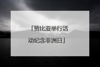 赞比亚举行活动纪念非洲日