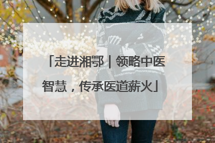 走进湘鄂｜领略中医智慧，传承医道薪火