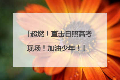 超燃！直击日照高考现场！加油少年！