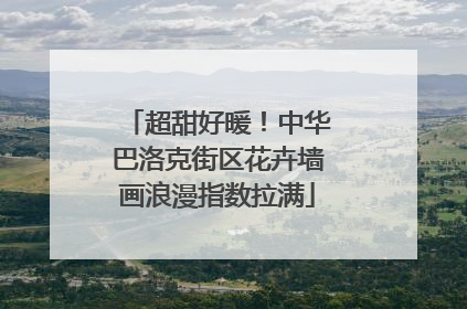 超甜好暖！中华巴洛克街区花卉墙画浪漫指数拉满