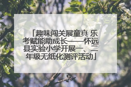 趣味闯关展童真 乐考赋能助成长——怀远县实验小学开展一、二年级无纸化测评活动