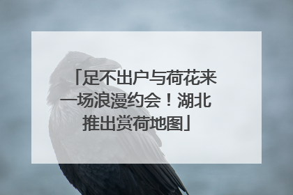 足不出户与荷花来一场浪漫约会！湖北推出赏荷地图