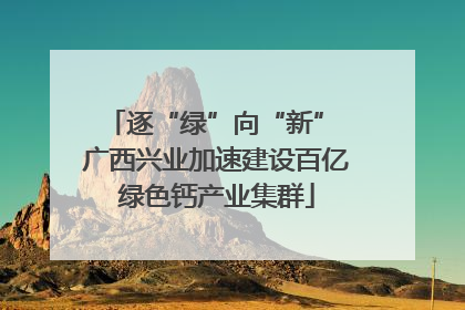 逐“绿”向“新” 广西兴业加速建设百亿绿色钙产业集群
