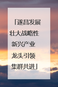 遂昌发展壮大战略性新兴产业 龙头引领 集群共进