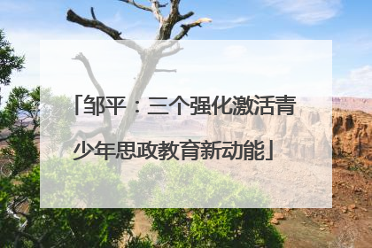 邹平：三个强化激活青少年思政教育新动能