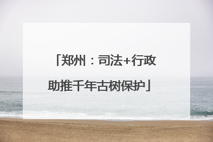 郑州：司法+行政助推千年古树保护