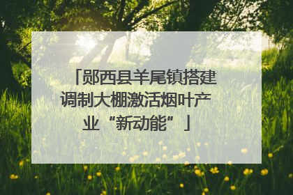 郧西县羊尾镇搭建调制大棚激活烟叶产业“新动能”