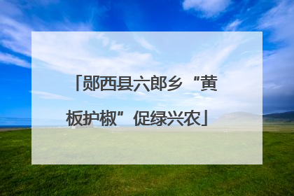 郧西县六郎乡“黄板护椒”促绿兴农
