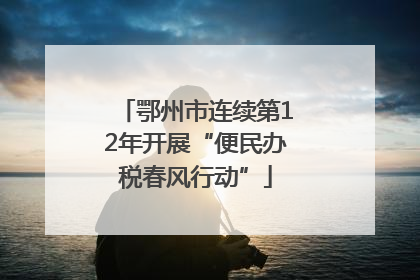 鄂州市连续第12年开展“便民办税春风行动”