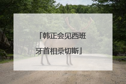韩正会见西班牙首相桑切斯