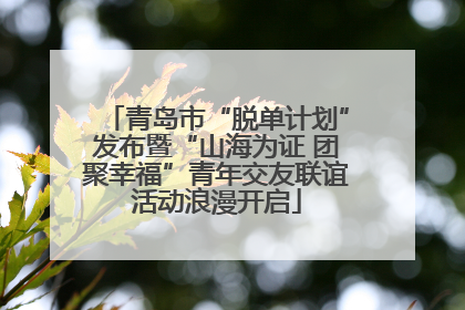 青岛市“脱单计划”发布暨“山海为证 团聚幸福”青年交友联谊活动浪漫开启