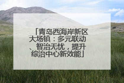 青岛西海岸新区大场镇：多元联动、智治无忧，提升综治中心新效能